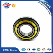 NSK 33*79*20mm Cylindrical Roller Bearing for Transmission Parts (307NU32)